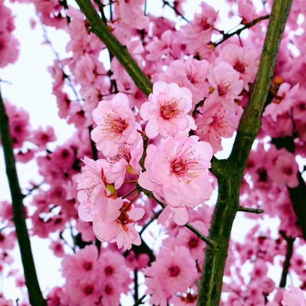 淮安在哪个省哪个城市