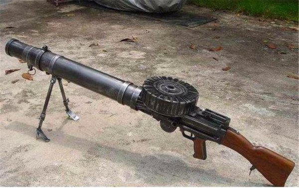 鸸鹋是什么动物