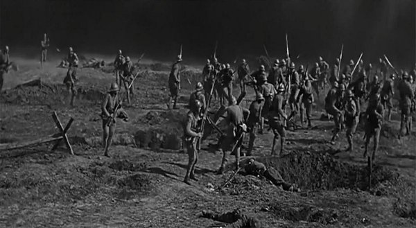 鸸鹋是什么动物