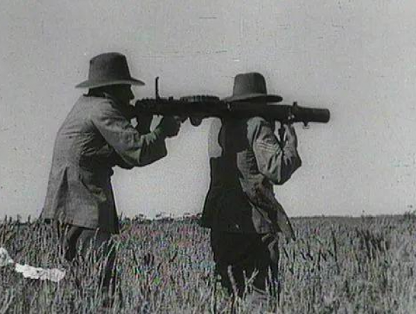 鸸鹋是什么动物