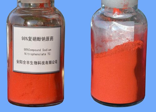 花卉焉了软了如何救治