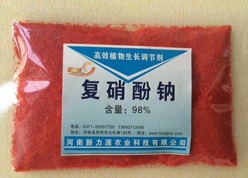 花卉焉了软了如何救治