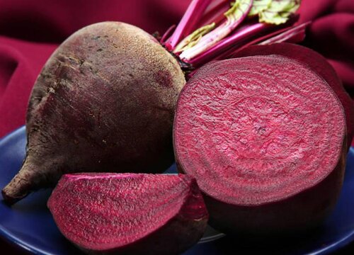 根达菜种植时间和方法