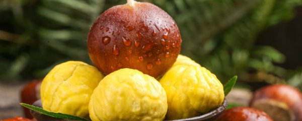 板栗烤箱要烤多久