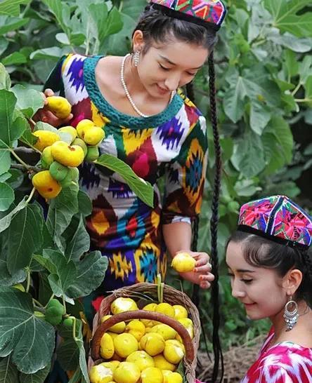 阿图什属于新疆哪个地区