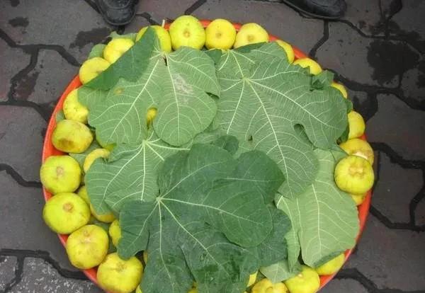 阿图什属于新疆哪个地区