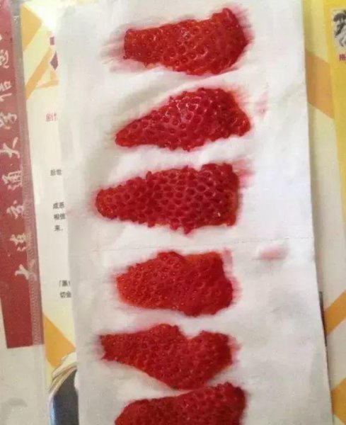 新鲜草莓种子多久发芽