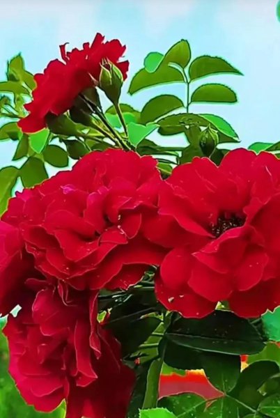 老婆嫌弃你的表现有哪些