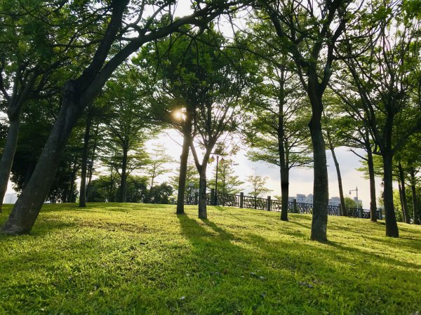 自我心理暗示有多可怕