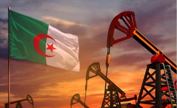 非洲最大的国家是哪个