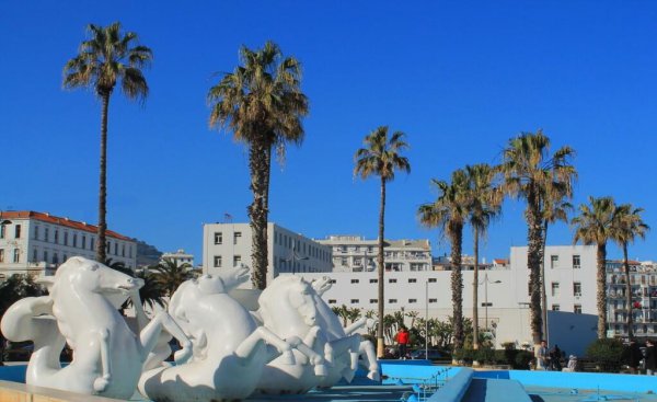 非洲最大的国家是哪个