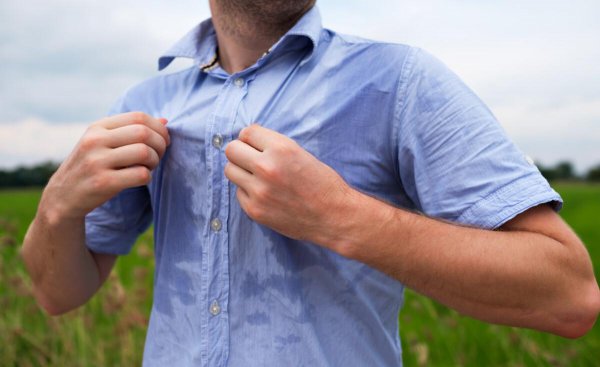 苍蝇老是飞到我身上是什么原因