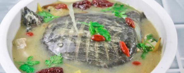 鳖甲和什么搭配煲汤比较好