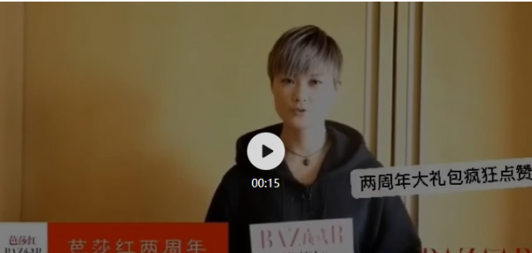 bazaarred是什么牌子口红