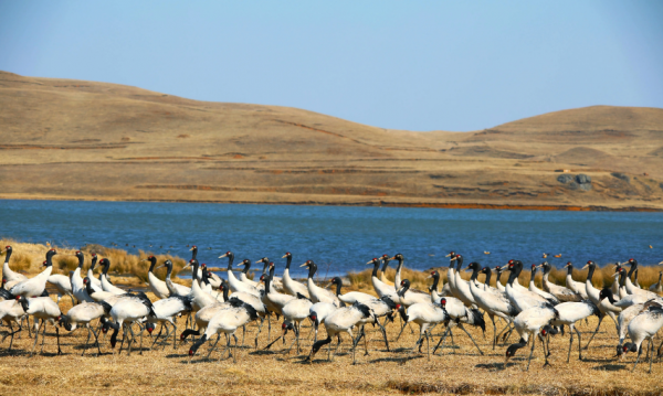 邵通县是哪个省的城市