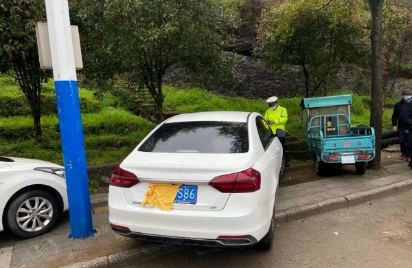 故意遮挡车牌怎么处罚