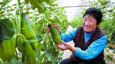 羊角蜜几月份种植最好