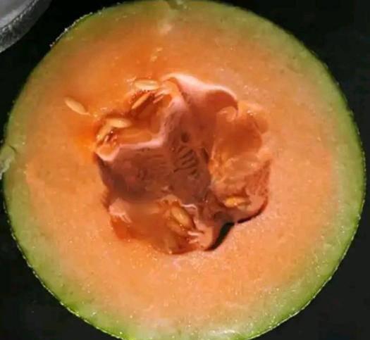 羊角蜜几月份种植最好