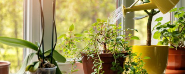 如何改变磁场提升运气