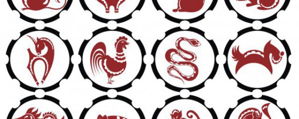 属羊的佩戴什么饰物好