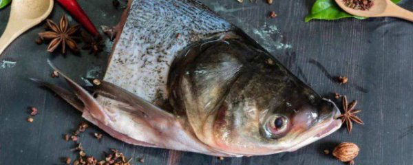 怎样挑选优质鲔鱼