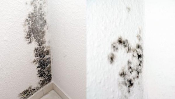 为什么有人说主卧千万不要带卫生间