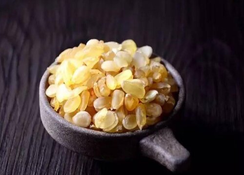 皂角米产地哪里的最好