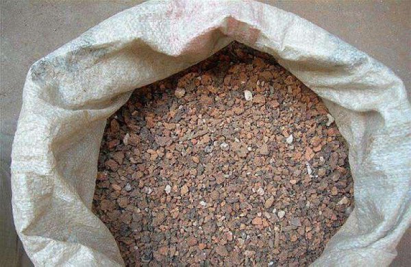 仙人球用什么土种比较好