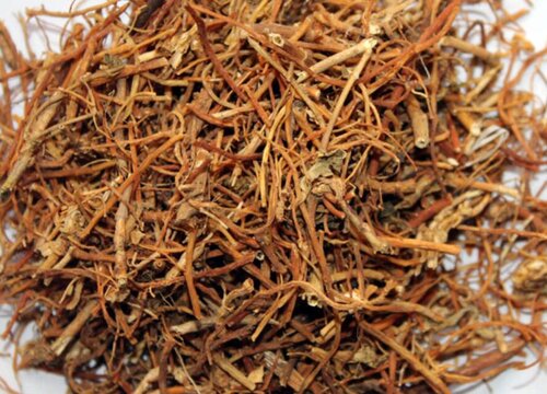 龙胆草的功效与作用