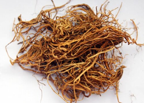 龙胆草的功效与作用