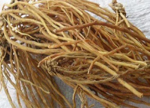 龙胆草的功效与作用