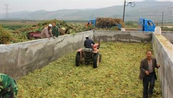 农村秸秆怎么合理利用