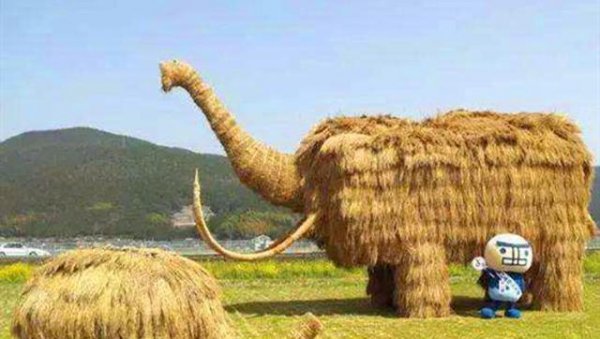 农村秸秆怎么合理利用