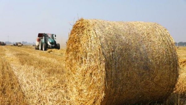 农村秸秆怎么合理利用