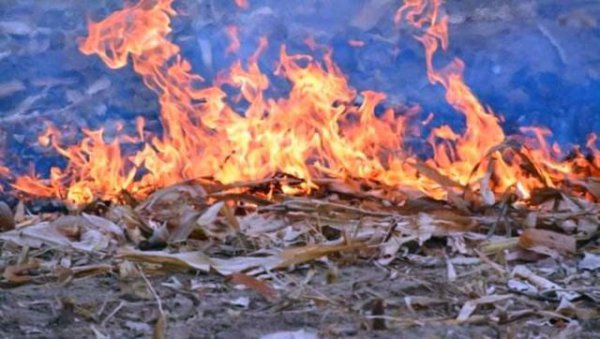 农村秸秆怎么合理利用