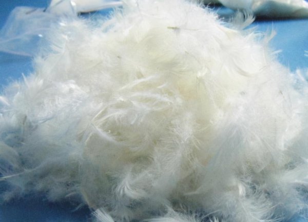 旧羽绒服改羽绒被最简单方法