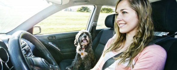 双离合和自动挡的区别