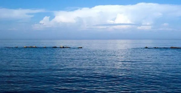 圣彼得堡是哪个国家的城市