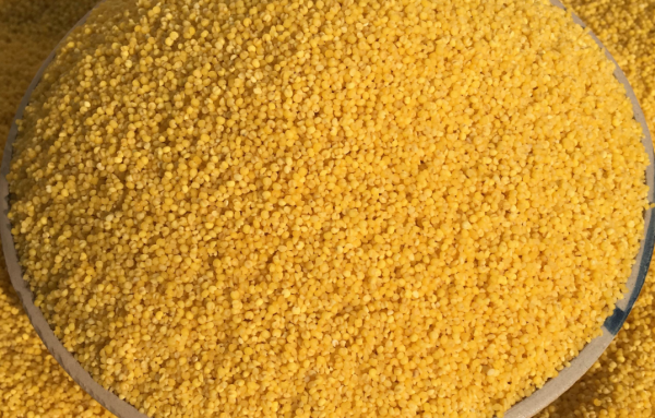 小黄米的功效与作用