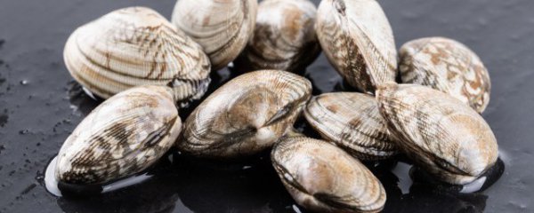 经常吃蛤蜊好处与坏处