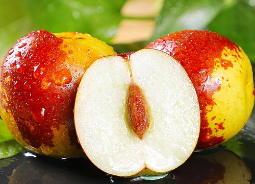 山东冬枣产地是哪里