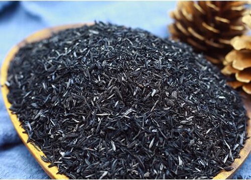 如何养护玉树可以提高它的观赏价值