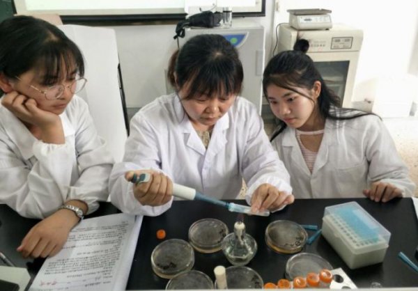 中国药科大学就业前景