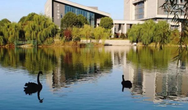 中国药科大学就业前景