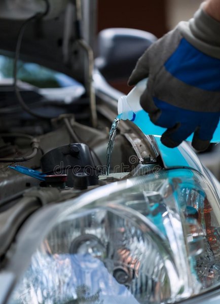 汽车水箱加什么