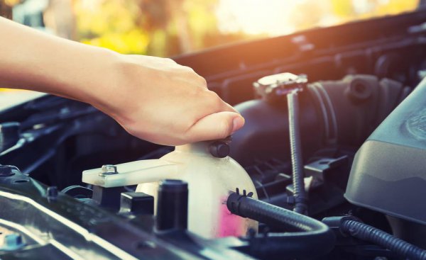 汽车水箱加什么