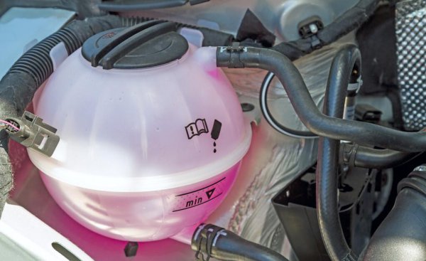 汽车水箱加什么