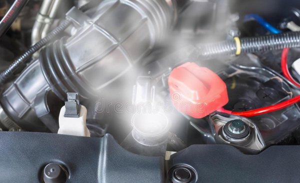 汽车水箱加什么