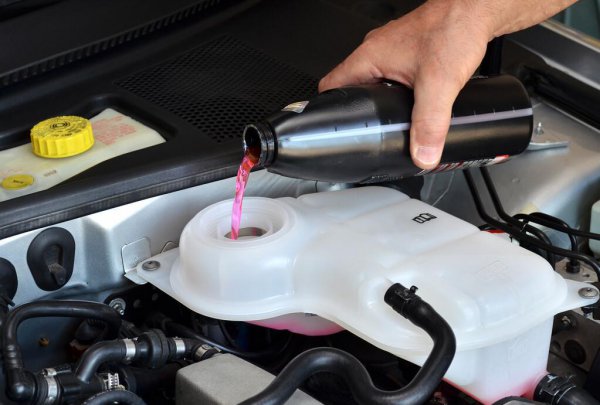 汽车水箱加什么