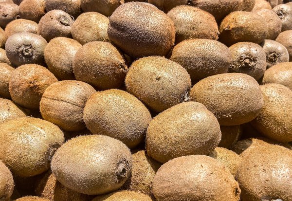 安徽特产水果都有哪些